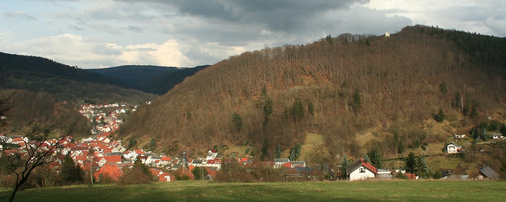  Blick auf Floh-Seligenthal, Kleinschmalkalden und die Hohe Warte