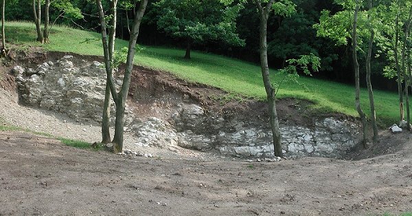 Aufschluss des Heldburggips am Eckhardshög bei Mühlberg.